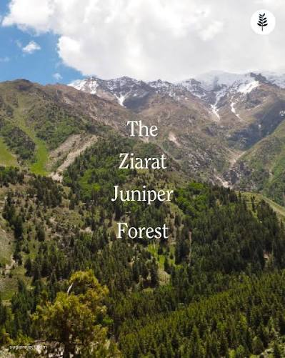 Ziarat